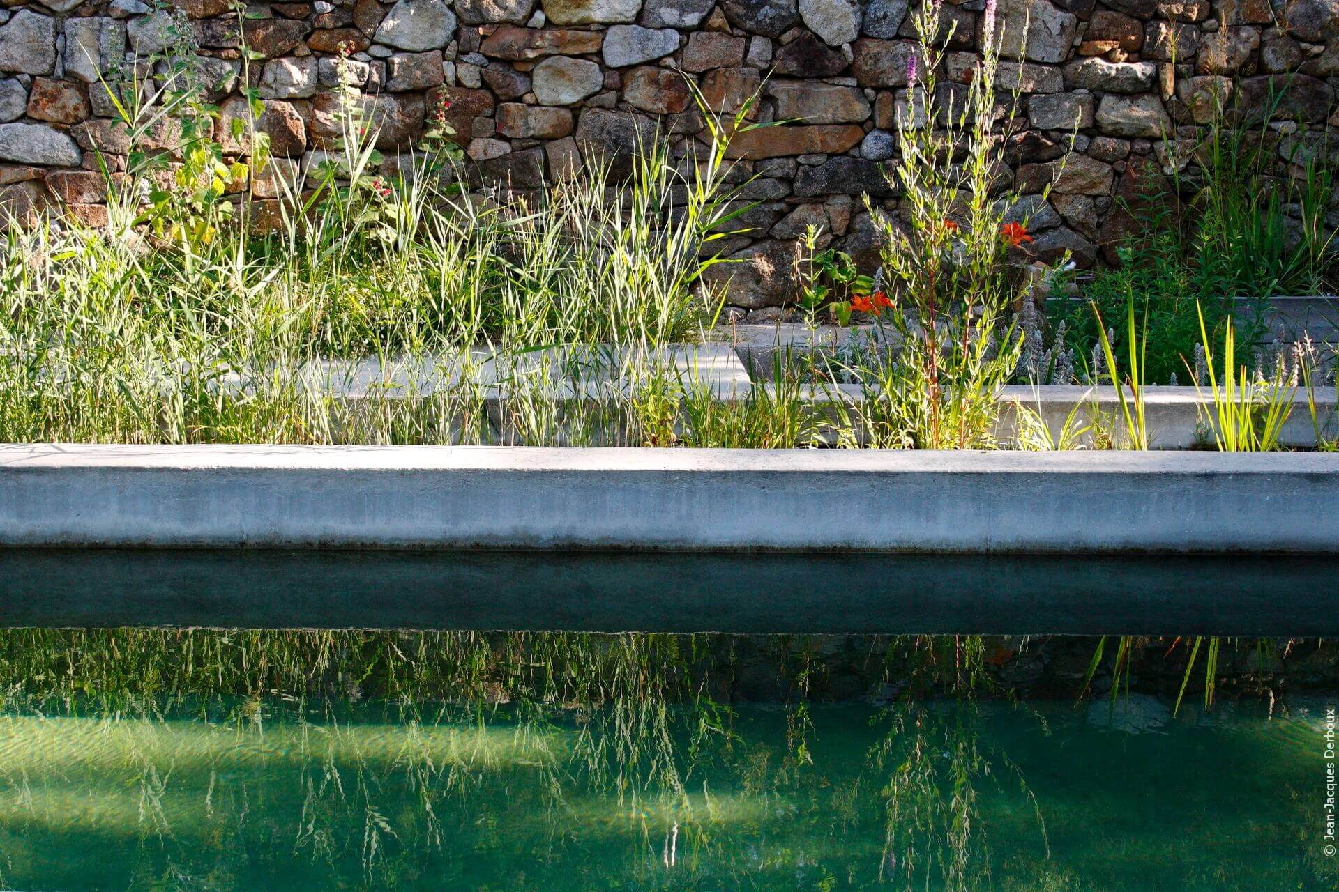 Baignade naturelle, piscine maçonnée, finition béton gris, végétaux pour phyto-épuration, mur en pierre.