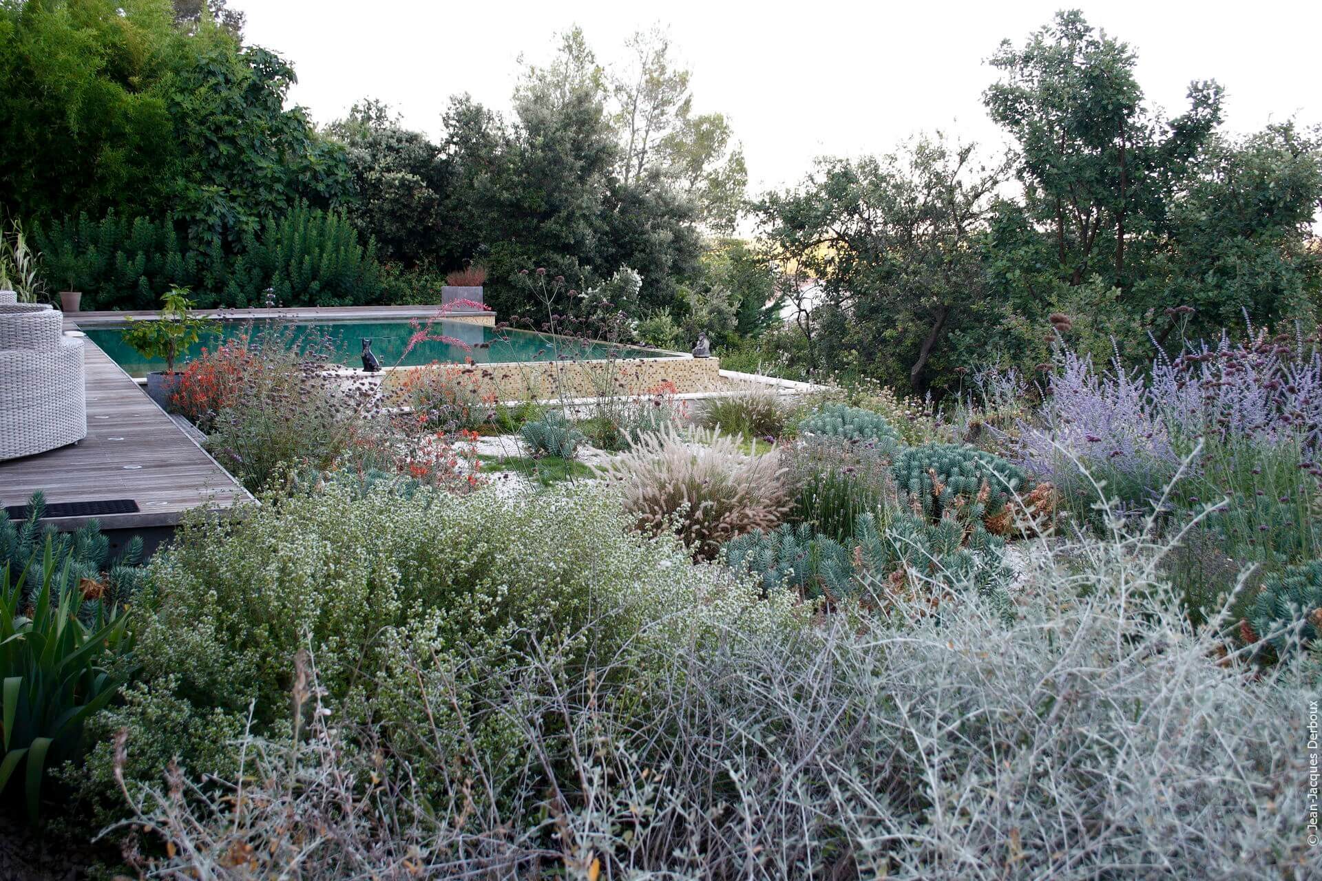 Piscine, terrasse, jardin écologique naturel, floraison du printemps, jardin sur gravier.