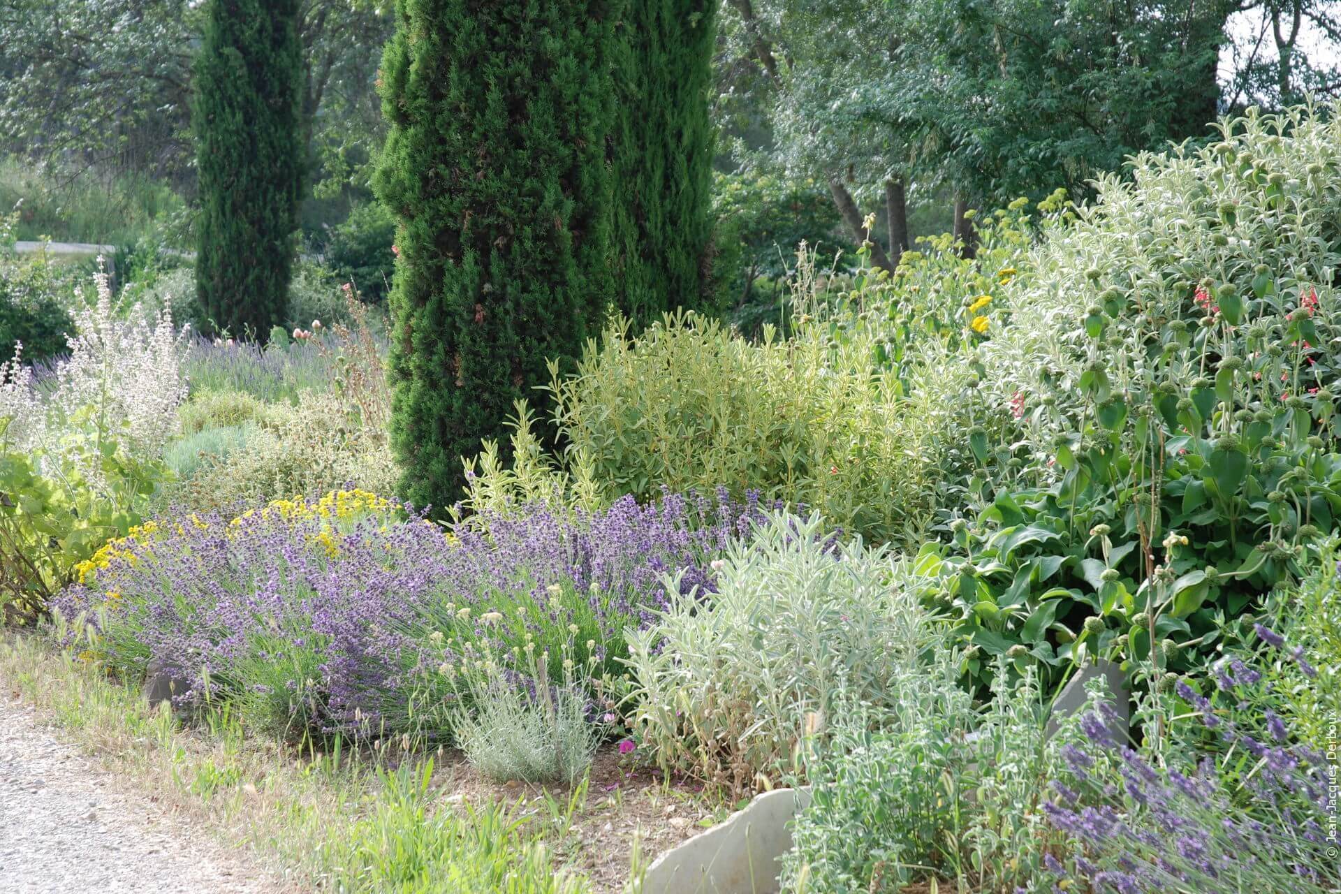 Jardin de village, courette pavée, solanum, immortelle, végétaux méditerranéens.