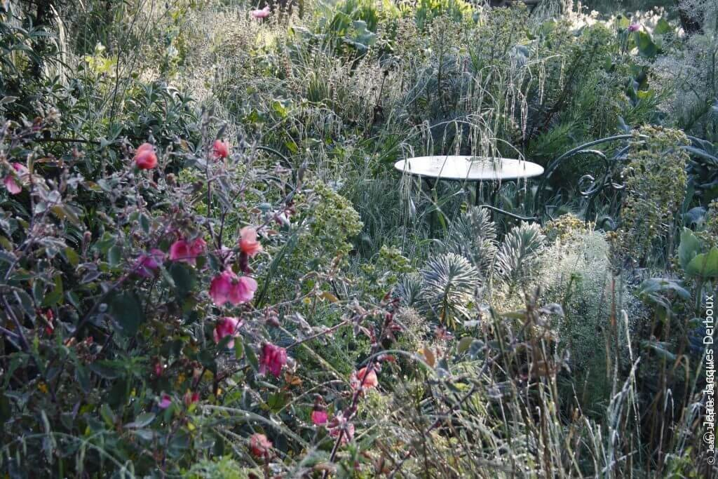 _MG_2431_w1920 Jardin romantique sans arrosage, fleurs, rosiers, mobilier ancien en métal.
