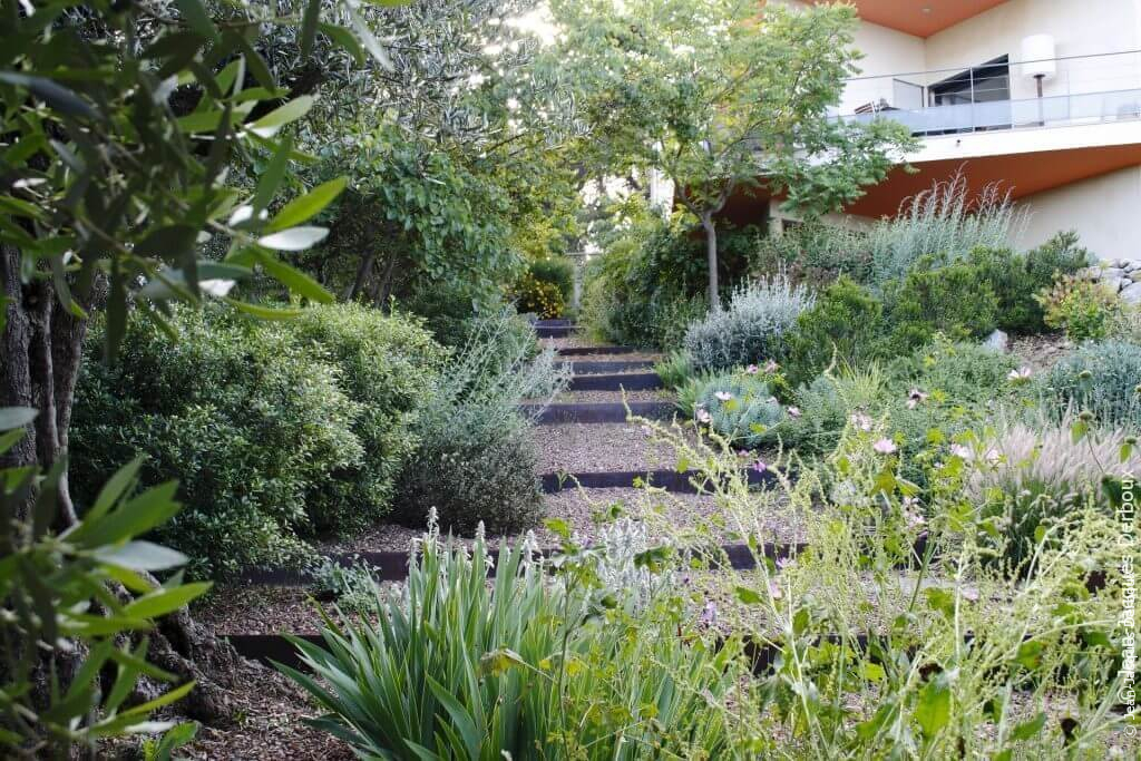 Déambuler Une allée en pente, pas d’âne, contre marche en métal brut, gravier de schiste, jardin méditerranéen, olivier.