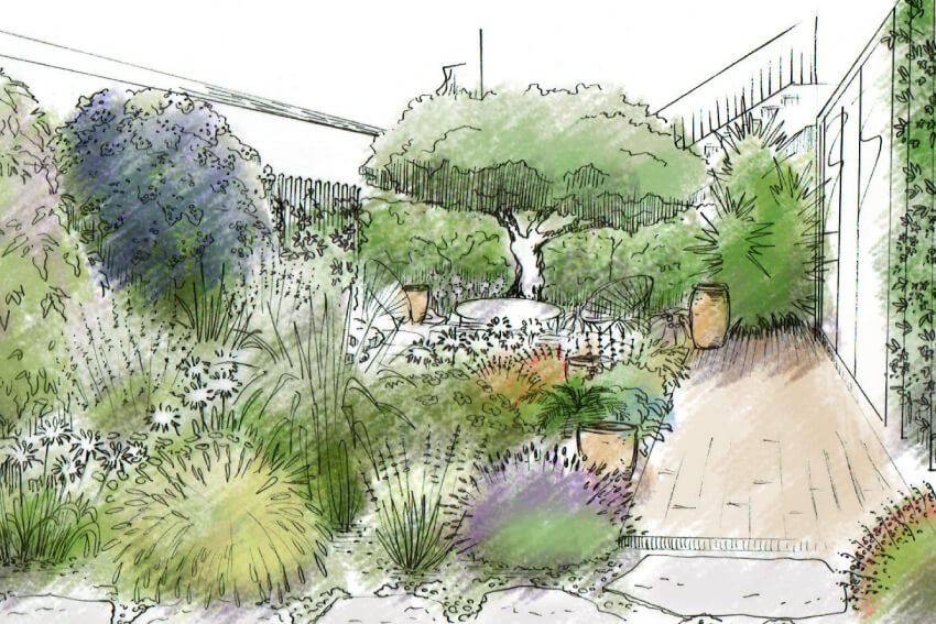 Croquis d'un petit jardin méditerranéen sans arrosage - conseils à domicile