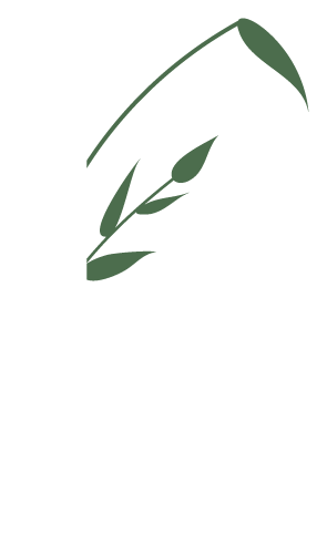 Décoration épis de blé