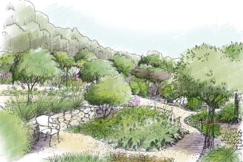 Étude paysagère d'un jardin méditerranéen avec rosier