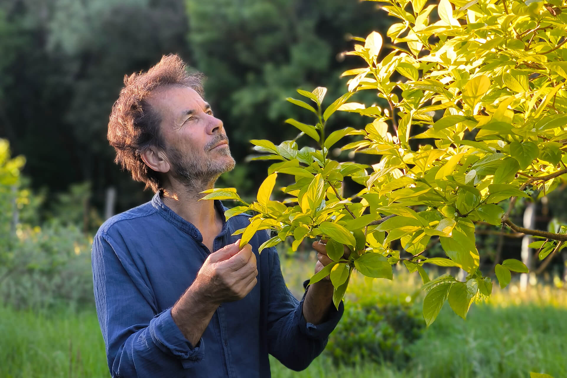 Jean-Jacques Derboux en train d'inspecter un arbre