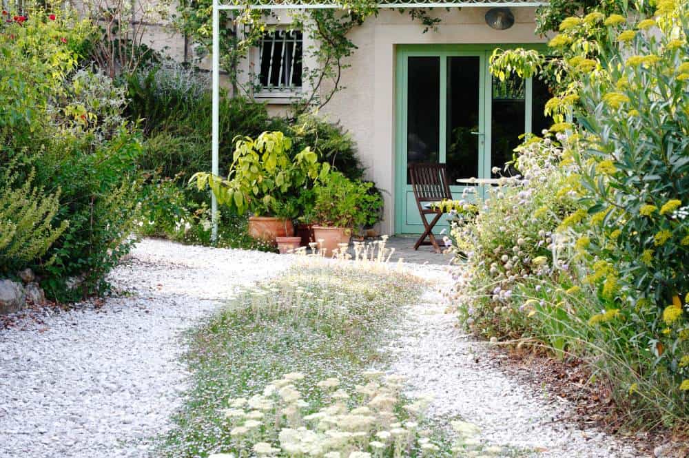 Couvre-sol gazonnant : Lippia (Phyla nodiflora) et achillée (Achillea crithmifolia) pour jardin méditerranéen sans arrosage